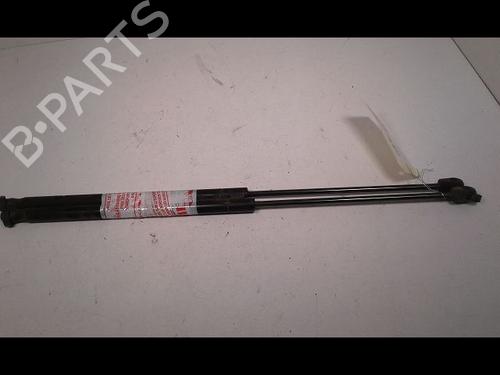 Used Tailgate lift support FORD C-MAX (DM2) 1.6 TDCi (90 hp) 14888060