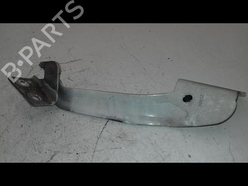 Hinge/Door check strap RENAULT KANGOO Express (FW0/1_) 1.5 dCi 70 (FW0A, KW0V) | BP29224805C146 