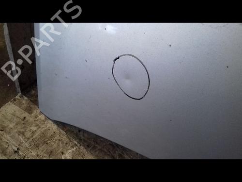 Used Hood Hood RENAULT CLIO III (BR0/1, CR0/1) 1.2 16V (BR02, BR0J, BR11, CR02, CR0J, CR11) (75 hp) 34106109 34106109