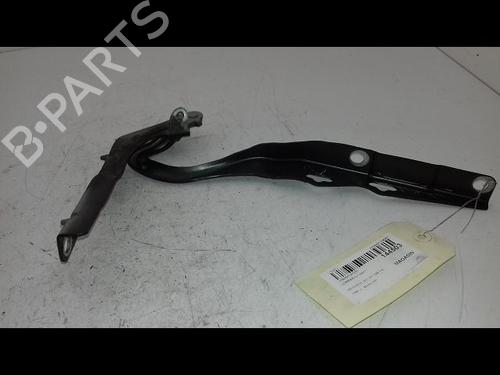 Hinge/Door check strap PEUGEOT 207 SW (WK_) 1.6 16V | BP29224821C146 
