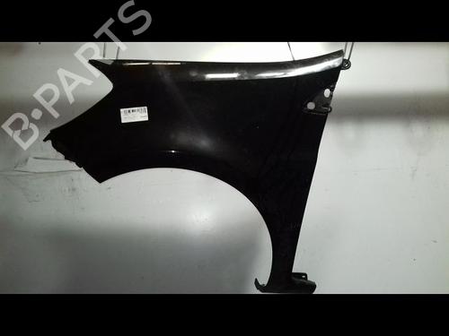 Left front fenders RENAULT CLIO III (BR0/1, CR0/1) 1.5 dCi (BR17, CR17) | BP19747943C41 