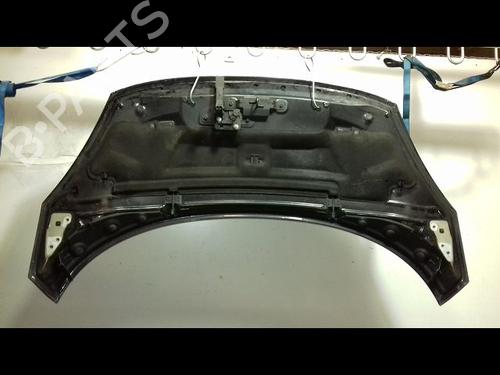 Hood RENAULT SCÉNIC III (JZ0/1_) 1.9 dCi (JZ0J, JZ1J, JZ1K, JZ1S) | BP18887493C1