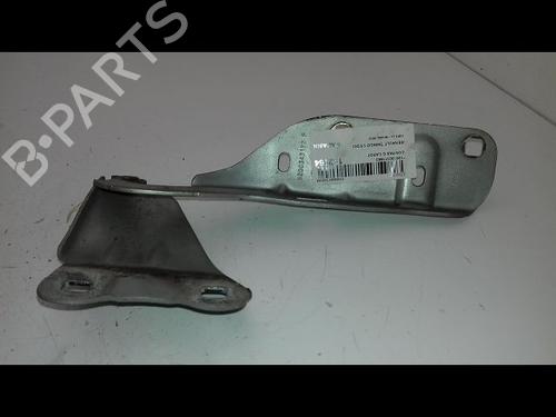 Hinge/Door check strap RENAULT TWINGO II (CN0_) 1.5 dCi 75 | BP19441095C146