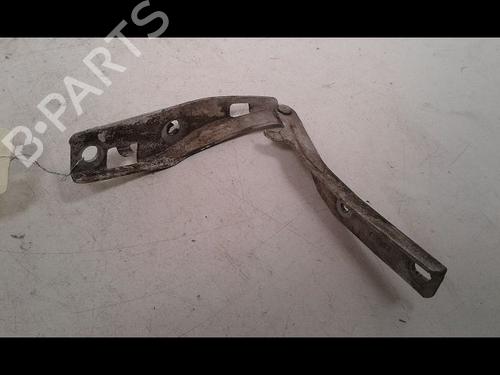 Used Hinge/Door check strap PEUGEOT 206 Hatchback (2A/C) 1.4 HDi eco 70 (68 hp) 14887615