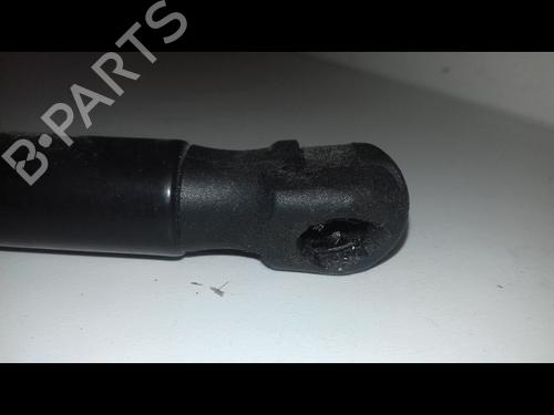 Tailgate lift support AUDI A3 Sportback (8YA, 8YF) 35 TDI | BP29225947C138 