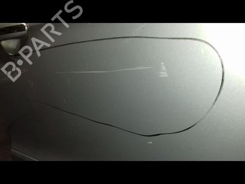 Right front door FORD S-MAX (WA6) 1.8 TDCi | BP15138442C3 
