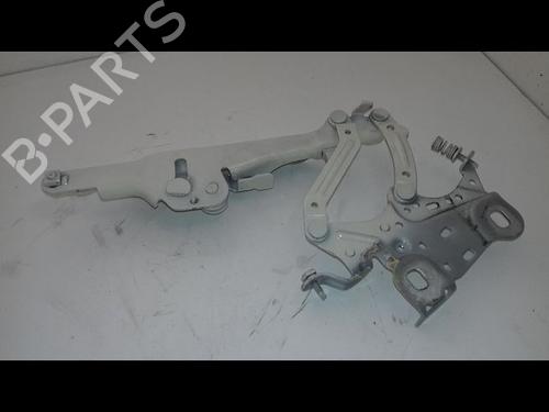 Hinge/Door check strap MINI MINI (F56) Cooper | BP29224816C146 