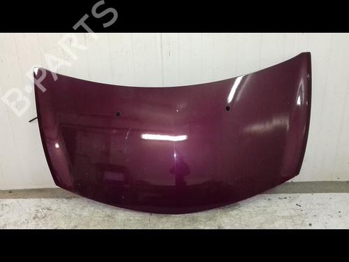 Used Hood RENAULT CLIO III (BR0/1, CR0/1) 1.5 dCi (BR17, CR17) (86 hp) 8963885