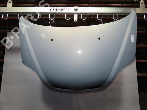 Used Hood RENAULT SCÉNIC I MPV (JA0/1_, FA0_) 1.9 dCi (JA05, JA1F) (102 hp) 17609991