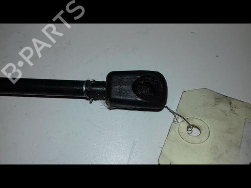 Hood lift support BMW X2 (F39) sDrive 18 i | BP14887671C139 