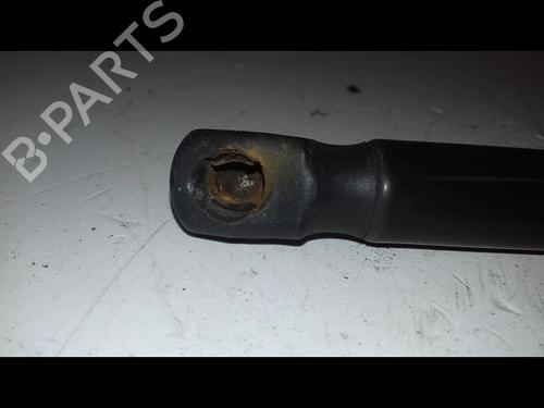 Tailgate lift support AUDI A3 Sportback (8VA, 8VF) 2.0 TDI | BP29225951C138 