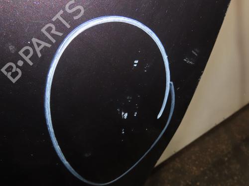 Left front door PEUGEOT 208 I (CA_, CC_) 1.4 HDi | BP17802568C2