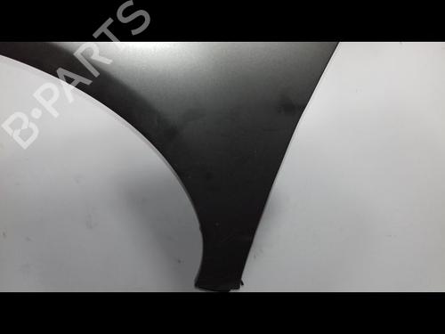 Left front fenders MERCEDES-BENZ A-CLASS (W169) A 180 CDI (169.007, 169.307) | BP14954679C41 