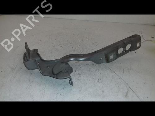 Hinge/Door check strap CITROËN C4 II (NC_) 1.6 BlueHDi 120 | BP29468759C146 