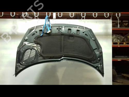 Used Hood PEUGEOT 206+ (2L_, 2M_) 1.4 HDi eco 70 (68 hp) 31347747