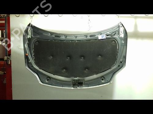 Used Hood VW GOLF PLUS V (5M1, 521) 1.4 TSI (122 hp) 29216571