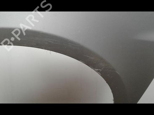 Left front fenders RENAULT CLIO III (BR0/1, CR0/1) 1.5 dCi (C/BR0G, C/BR1G) | BP15200293C41 