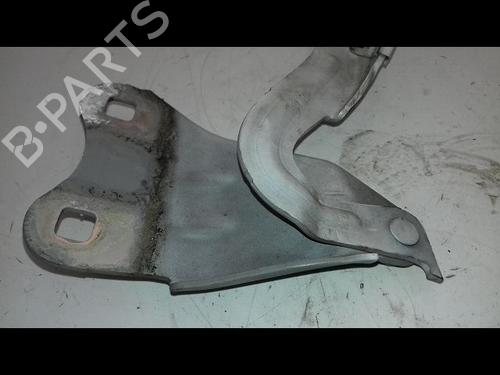 Hinge/Door check strap RENAULT TWINGO II (CN0_) 1.5 dCi 75 | BP18543512C146