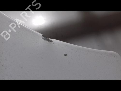 Hood RENAULT KANGOO Express (FW0/1_) 1.5 dCi 75 (FW07, FW10, FW04) | BP29224705C1