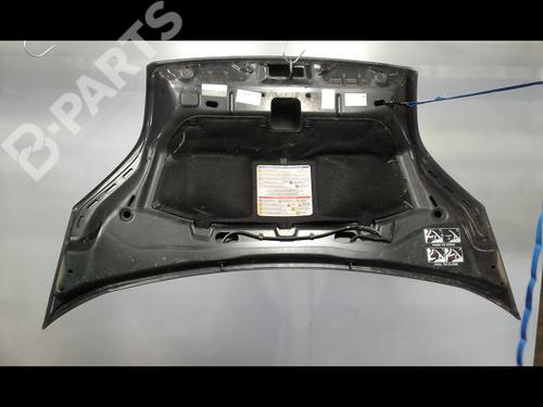 Used Hood FIAT FIORINO Box Body/MPV (225_) 1.3 D Multijet (225BXD1A, 225BXB1A, 225BXB11) (75 hp) 8970968