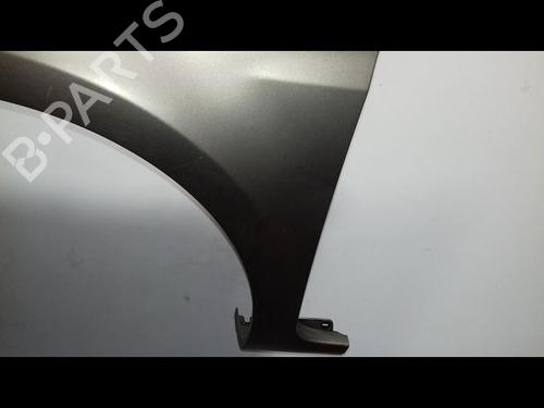 Left front fenders RENAULT CLIO III (BR0/1, CR0/1) 1.5 dCi | BP15378366C41 