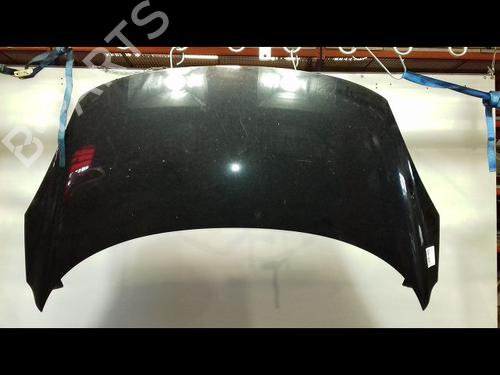 Used Hood RENAULT SCÉNIC III (JZ0/1_) 1.9 dCi (JZ0J, JZ1J, JZ1K, JZ1S) (131 hp) 18887493