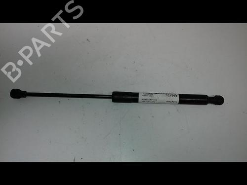Used Hood lift support RENAULT KANGOO Express (FW0/1_) 1.5 dCi 75 (FW07, FW10, FW04) (75 hp) 23195297