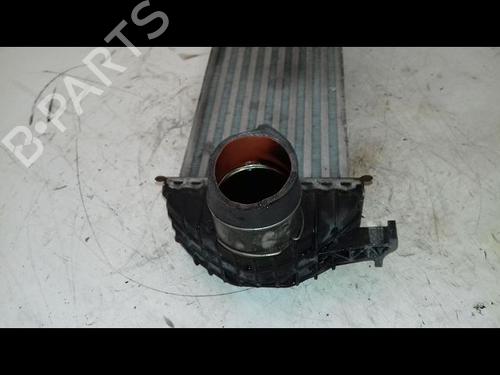 Other RENAULT KANGOO Express (FW0/1_) 1.5 dCi 90 (FW0G, FW05, FW08, FW11) | BP29223090O1