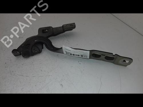Hinge/Door check strap CITROËN C4 II (NC_) 1.6 HDi 90 | BP29224801C146 