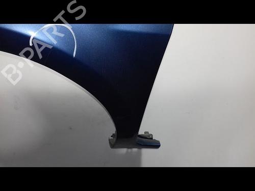 Left front fenders RENAULT CLIO III (BR0/1, CR0/1) 1.5 dCi (C/BR0G, C/BR1G) | BP14954688C41 