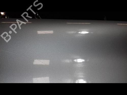 Left front fenders RENAULT LAGUNA II (BG0/1_) 1.9 dCi | BP19578097C41 