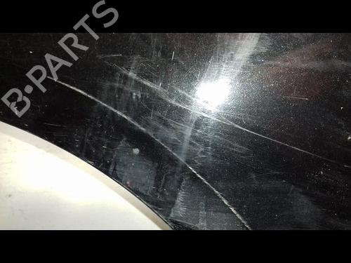 Left front fenders RENAULT SCÉNIC III (JZ0/1_) 1.9 dCi (JZ0J, JZ1J, JZ1K, JZ1S) | BP18887488C41 