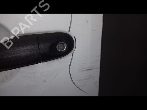 Left front door RENAULT KANGOO Express (FW0/1_) 1.5 dCi 70 (FW0A, KW0V) | BP29225063C2 