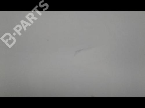 Right front door RENAULT CLIO III (BR0/1, CR0/1) 1.5 dCi | BP9584979C3 