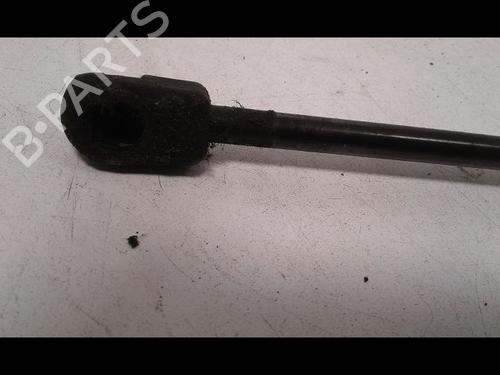 Hood lift support RENAULT SCÉNIC III (JZ0/1_) 1.5 dCi | BP14887680C139 