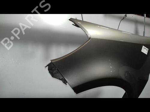 Left front fenders RENAULT CLIO III (BR0/1, CR0/1) 1.5 dCi | BP15378366C41 