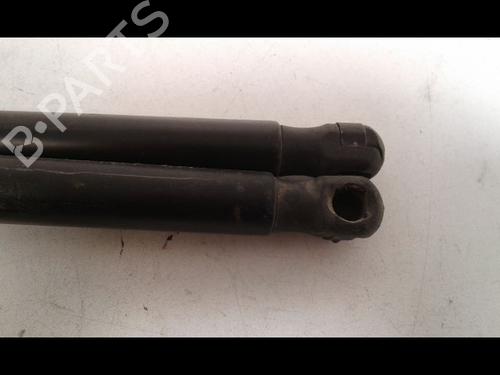 Tailgate lift support SKODA ROOMSTER (5J7) 1.9 TDI | BP29225972C138 