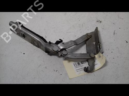 Hinge/Door check strap VW GOLF V (1K1) 1.9 TDI | BP23195288C146 