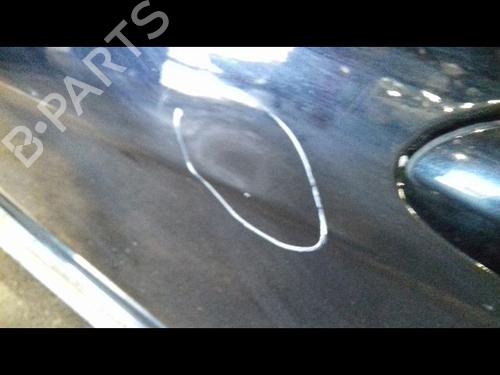 Used Left front door MERCEDES-BENZ A-CLASS (W169) A 200 CDI (169.008, 169.308) (140 hp) 29225078