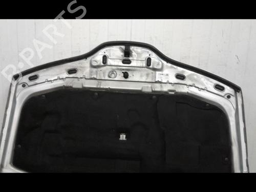 Used Hood RENAULT LAGUNA II (BG0/1_) 1.9 dCi (BG08, BG0G) (120 hp) 8970953