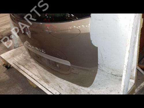 Tailgate RENAULT SCÉNIC III (JZ0/1_) 1.9 dCi (JZ0J, JZ1J, JZ1K, JZ1S) | BP29216794C6 