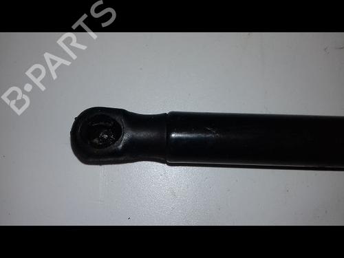 Hood lift support BMW X2 (F39) sDrive 18 i | BP14887671C139 