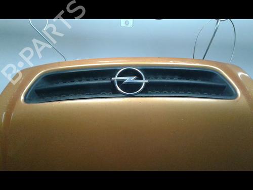 Used Hood OPEL ASTRA G Coupe (T98) 2.2 DTI (F07) (125 hp) 8972896