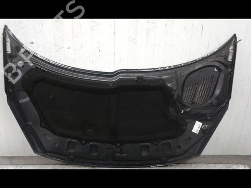 Used Hood PEUGEOT 206+ (2L_, 2M_) 1.4 HDi eco 70 (68 hp) 8970978