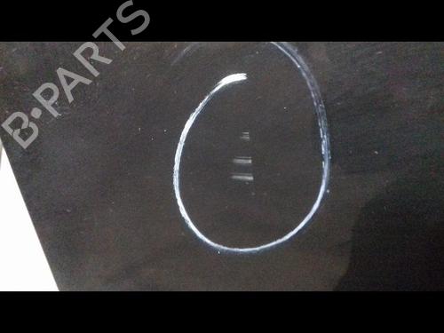 Right front door RENAULT CLIO III (BR0/1, CR0/1) 1.5 dCi | BP18104276C3 
