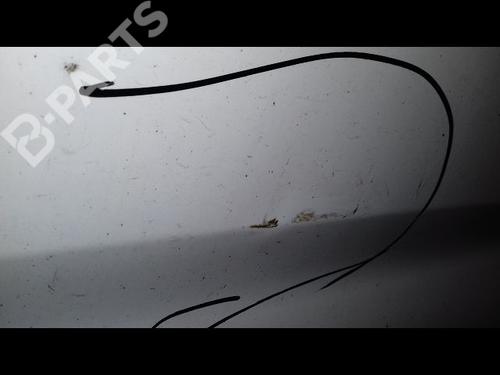 Left front door CITROËN C3 II (SC_) 1.4 | BP11915346C2 