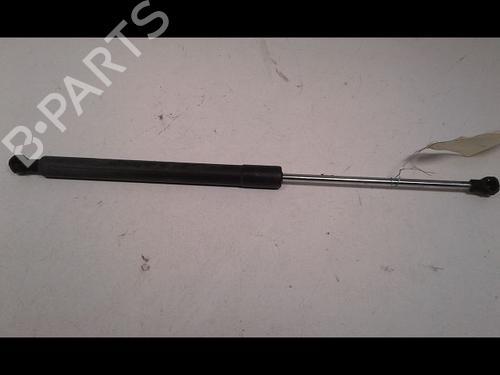 Gasdæmper bagklap RENAULT CLIO III (BR0/1, CR0/1) 1.6 16V (BR05, BR0B, BR0Y, BR15, BR1J, BR1M, BR1Y, CR0B,... (112 hp) 16931219