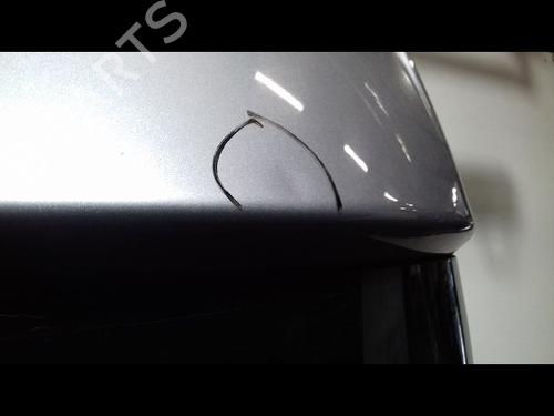 Tailgate RENAULT MEGANE III Hatchback (BZ0/1_, B3_) 1.5 dCi | BP17085859C6 