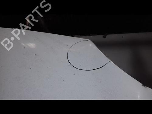 Hood RENAULT KANGOO Express (FW0/1_) 1.5 dCi 75 (FW07, FW10, FW04) | BP29224705C1 
