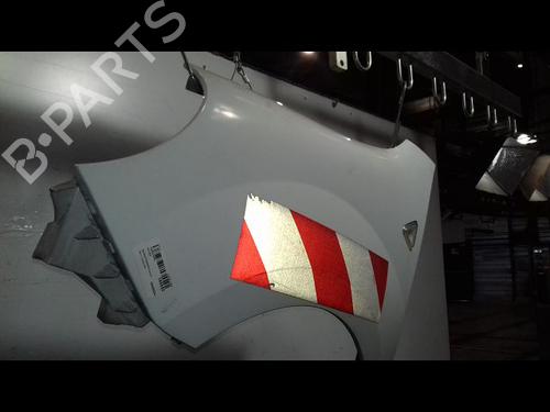Left front fenders RENAULT KANGOO Express (FW0/1_) 1.5 dCi 70 (FW0A, KW0V) | BP29224604C41 